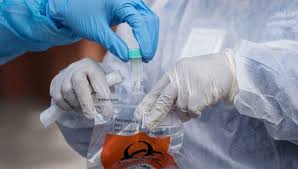 Russia declares victory in race for vaccine