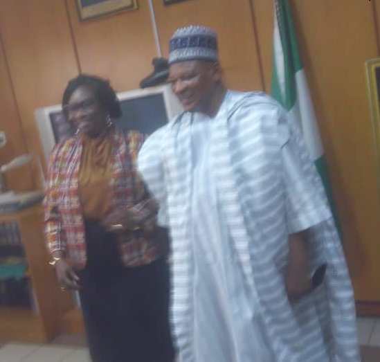 Minister of Power says Nigeria need more funds to prosecute renewable energy projects