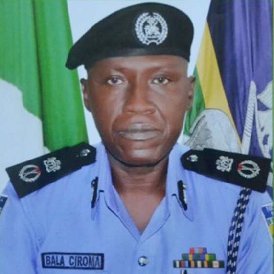 IIP-SARS commends AIG Ciroma, urges him to do more for victims of police brutality