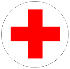 Tragedy: Woman, first son survive spiritual attack, as two sons died mysteriously