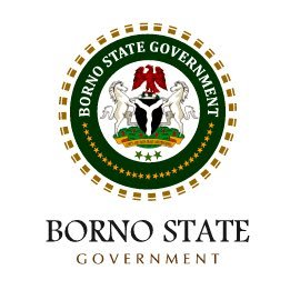 Alleged 10, 000 pregnancies abortion:  Borno State govt challenges Reuters to mention names of victims