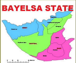 Gubernatorial Election: Network of Bayelsa Professionals, urge voters to  reject candidates with questionable characters