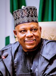 Speaker Abbas eulogises  Vice President Shettima at 57