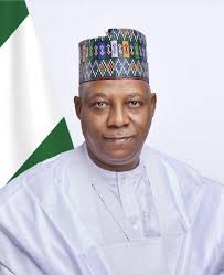 Just in: Shettima Presides over NEC meeting 
