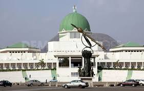 10th Assembly: House of Reps unveil legislative agenda 