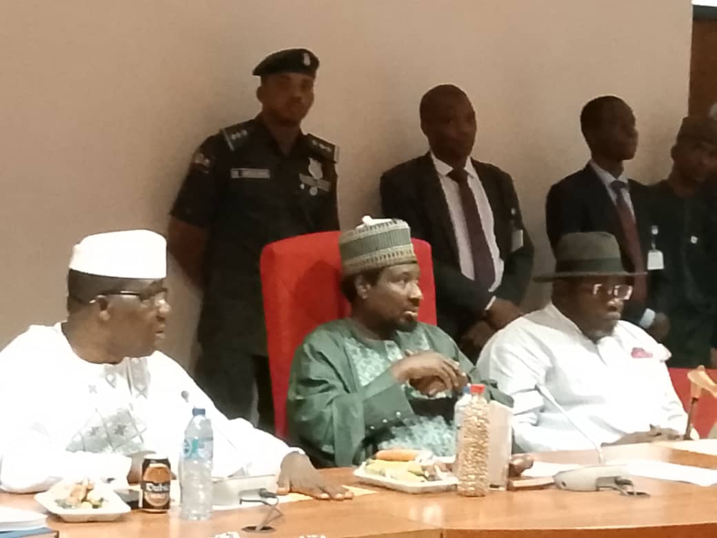 Review of 1999 Constitution:: DSP charges committee members to bring their experiences to bear …As Committee holds inaugural meeting