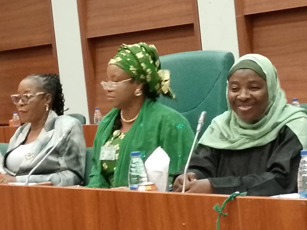 Alleged  N1.5b contractors money  diverted in  Women Affairs Ministry: Reps vows to expose culprits 