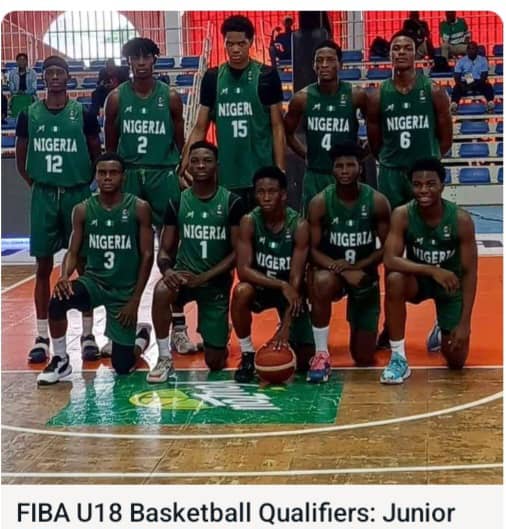 Olympics Quarter-final ticket: Ejike Ugboaja hails D’Tigress, Sports Minister 