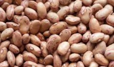 Prices of Beans Remain High Despite Influx of New Beans int the market-Investigation