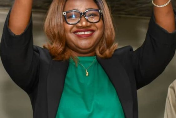 NUJ FCT Council Elects First Female Chairman After 43 Years  