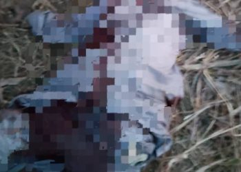 Troops of Operation Fansan Yamma Neutralise Terrorist Kingpin in Zamfara State