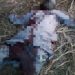 Troops of Operation Fansan Yamma Neutralise Terrorist Kingpin in Zamfara State