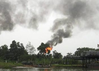 Nigeria Govt Dismises Allegations of Plot to Destabilize Niger Govt