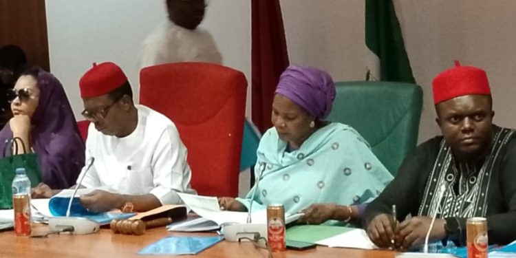 NASS Grills Minister Of Steel Development Over N2bn Boot Camp Project  …Summons Ministers Of Finance, Budget