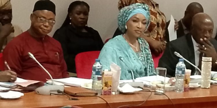 Senate Decries Low Allocations To Creative Economy Ministry ….Summons Minister of Budget & Economy Planning
