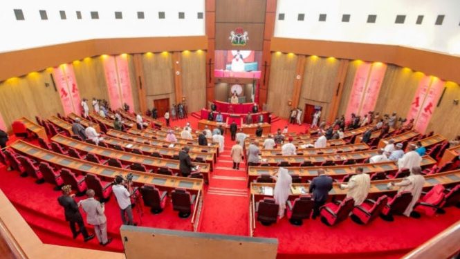 We Must Confront Case Of Out-of-School Children Or Be Consumed-Minister of Education Tells NASS