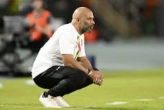 Appointment of Chelle as Eagles Gaffer Greeted With Mixed Reactions In Mali, Nigeria 