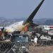 South Korean Wonders! Bird Remains Found In Jeju Air crashes Engines 
