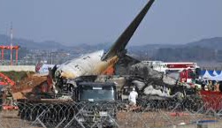 South Korean Wonders! Bird Remains Found In Jeju Air crashes Engines 