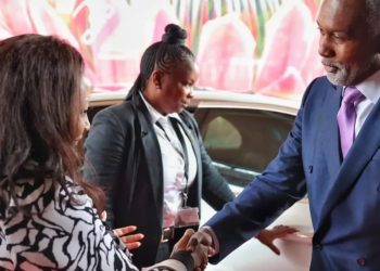 South Africa: Tuggar Calls for Inclusive Global Reforms at G20 Meeting 