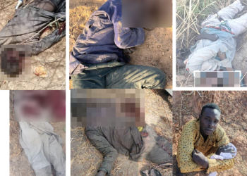 Troops Neutralize 10 Boko Haram Fighters  …As COAS Hails Troops For Efficiency 