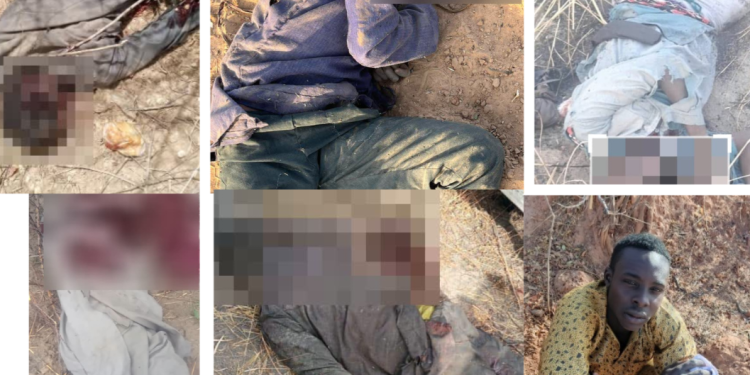 Troops Neutralize 10 Boko Haram Fighters  …As COAS Hails Troops For Efficiency 
