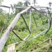 TCN Announces Towers Collapse Along Owerri-Ahoada 132kV Line