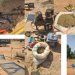 Benue State: Troops of JTF Operation WHIRL STROKE Destroy Bandits Camps, Recover Assorted Weapons