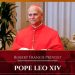 Foreign Affairs Minister Felicitates With Catholic Faithful on Emergence of Pope Leo XIV