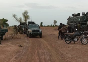 Troops Neutralise Bandits, Recover about 1,000 Rustled Cattles in Taraba