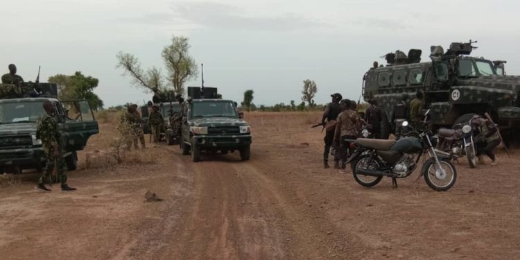 Troops Neutralise Bandits, Recover about 1,000 Rustled Cattles in Taraba