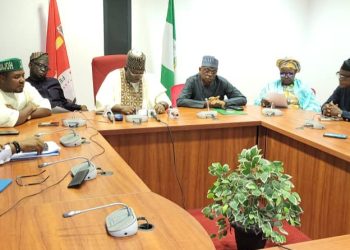 Nigeria Unveils Scalable Innovations to Tackle Maternal, Child Mortality