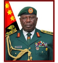 Alleged Assault on Police Detective by Nigerian Army, COAS Directs Investigation Into Circulated Video, Lieutenant General Olufemi Oluyede,