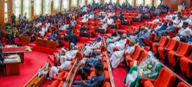 Proposed National Security Summit: Senate Rebukes Defence Minister Over Comment  