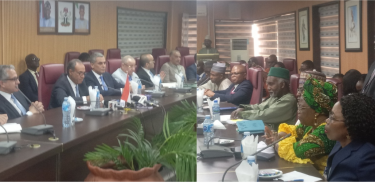 Minister of Foreign Affairs Reiterates Nigeria Commitment to Strengthening Long Standing Bilateral Relationship With Egypt 