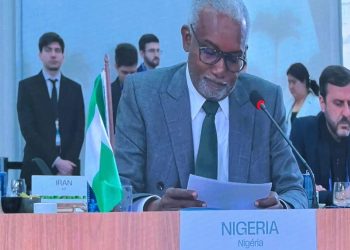 Nigeria Urges BRICS to Champion Climate Justice and Health Equity at COP30