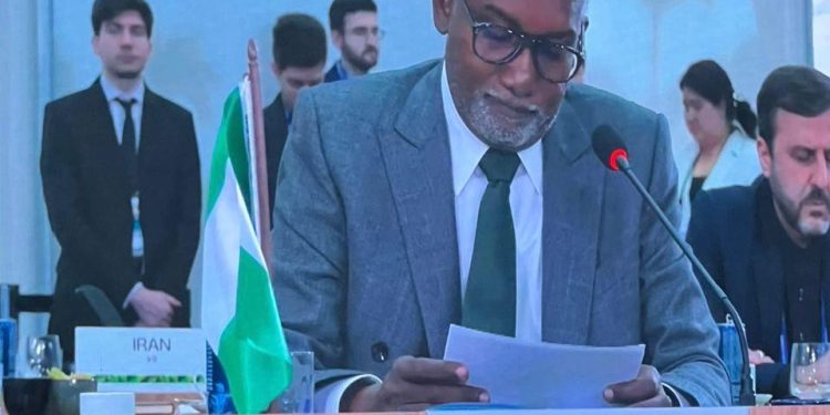 Nigeria Urges BRICS to Champion Climate Justice and Health Equity at COP30