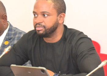 Okoye Reveals How SEDC Will Charts New Course for Regional growth (Video)