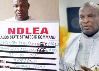 Chai! NDLEA Nabs G.O For Alleged Cross-Border Drug Trafficking