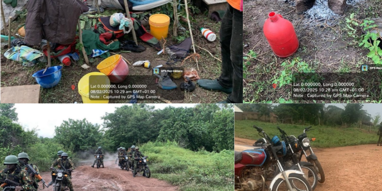 Troops of Nigerian Army Rescue Abducted University Lecturer