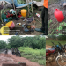 Troops of Nigerian Army Rescue Abducted University Lecturer