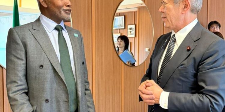 Nigeria, Japan Deepen Bilateral Cooperation at TICAD 9