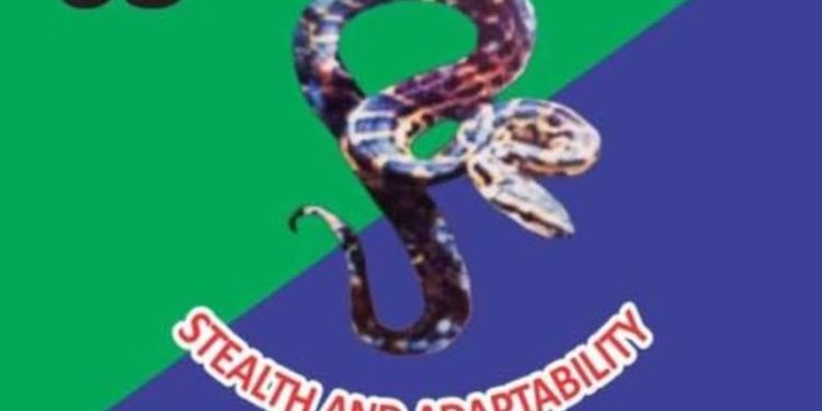 Troops Rescue Senior Officer From Abductors