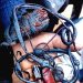 Plateau: Troops Neutralise Bandit, Recover Weapon and Ammunition