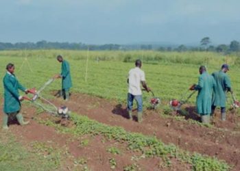 PULA Foundation, Nigerian Government Partner to Revolutionize Agricultural Insurance