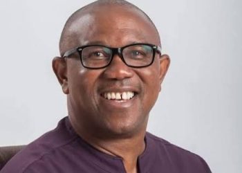 Peter Obi Disclaims News of Meeting, Pictures With Donald Trump, MC Oluomo on 
