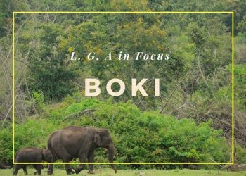 Breaking: Over 60 Foreign Nationals Apprehended in Boki Forest, Cross River State
