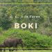 Breaking: Over 60 Foreign Nationals Apprehended in Boki Forest, Cross River State