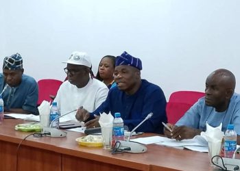Senate, NADDC Ignite Auto Policy War …Push for Local Assembly Amid Revenue Crisis