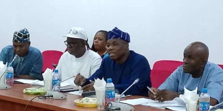 Senate, NADDC Ignite Auto Policy War …Push for Local Assembly Amid Revenue Crisis